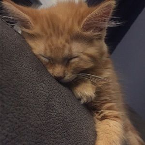 Meet your Posher, Margaret